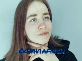 Octaviafinch