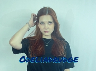 Odeliadrudge