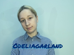 Odeliagarland