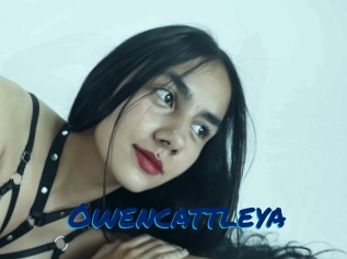 Owencattleya