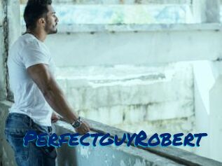 PerfectguyRobert