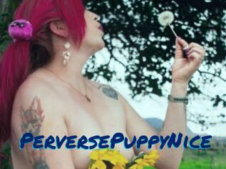 PerversePuppyNice