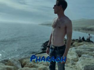 Pharaoh