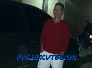 Polexcuteboyx