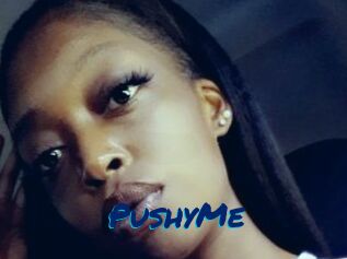 PushyMe