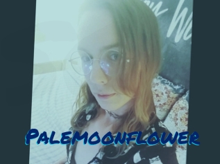 Palemoonflower