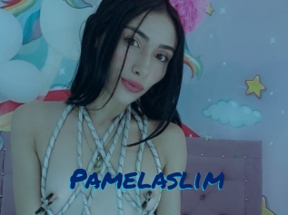 Pamelaslim