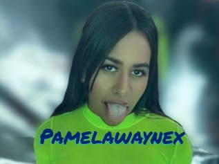 Pamelawaynex