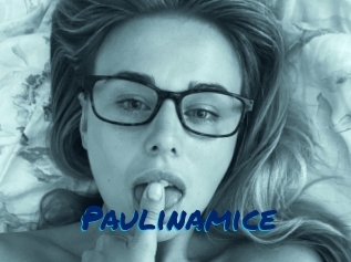 Paulinamice