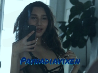 Paynadiavixen