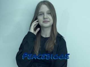 Peacebigge