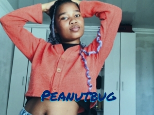 Peanutbug