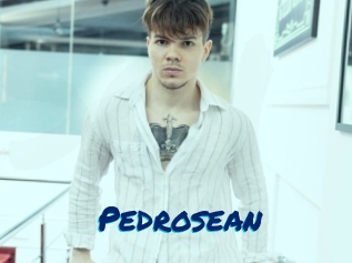 pedrosean Sexe City