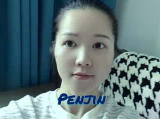 Penjin