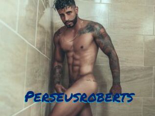 perseusroberts Sexe City