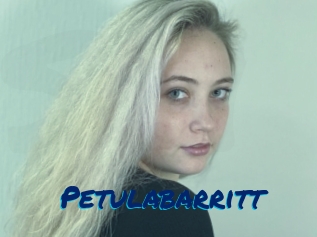 Petulabarritt