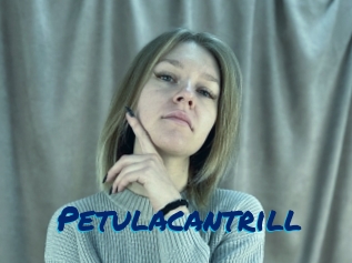 petulacantrill Sexe City