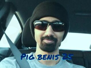 Pig_benis_25