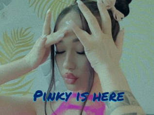 Pinky_is_here