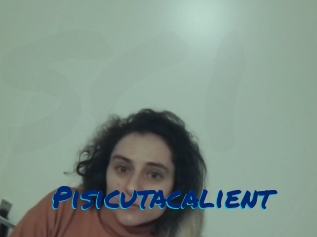 Pisicutacalient