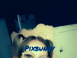 Pixbunny