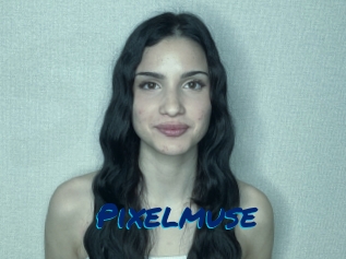 Pixelmuse