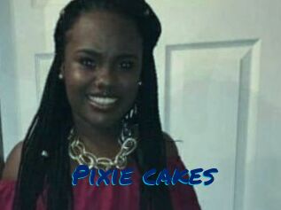 Pixie_cakes