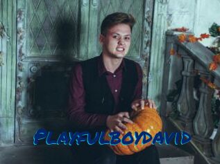 Playfulboydavid