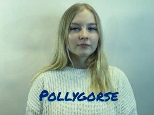 Pollygorse
