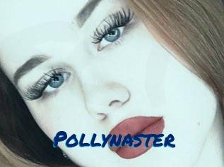 Pollynaster