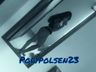 Polypolsen23