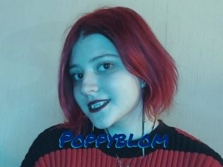 Poppyblom