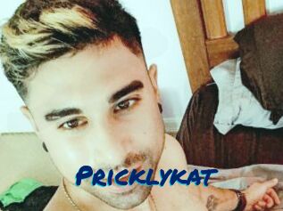Pricklykat