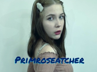 Primroseatcher