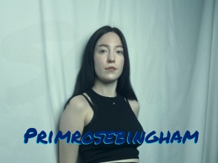Primrosebingham