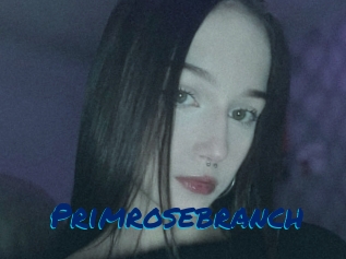 Primrosebranch