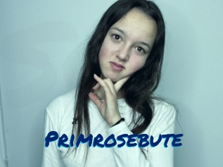 primrosebute Sexe City