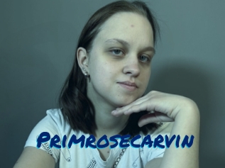 Primrosecarvin