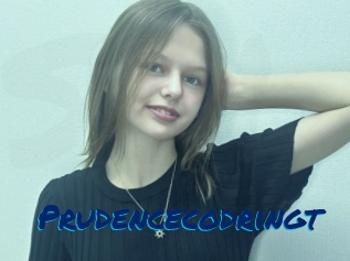 Prudencecodringt