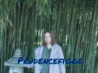 Prudencefigge