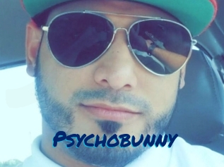 Psychobunny