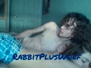 RabbitPlusWolf