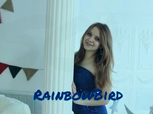 RainbowBird