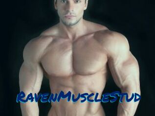 RavenMuscleStud