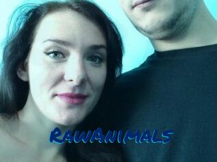 RawAnimals