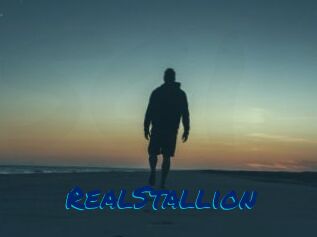 RealStallion