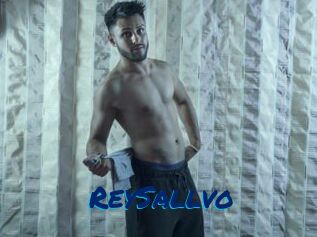 ReySallvo