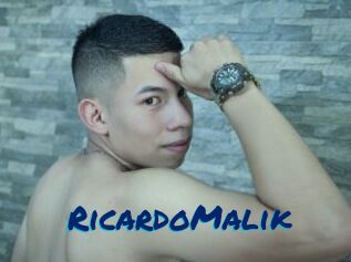 RicardoMalik