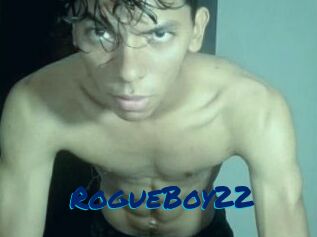 RogueBoy22