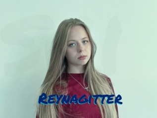 Reynagitter